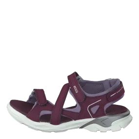 Biom Raft Aubergine